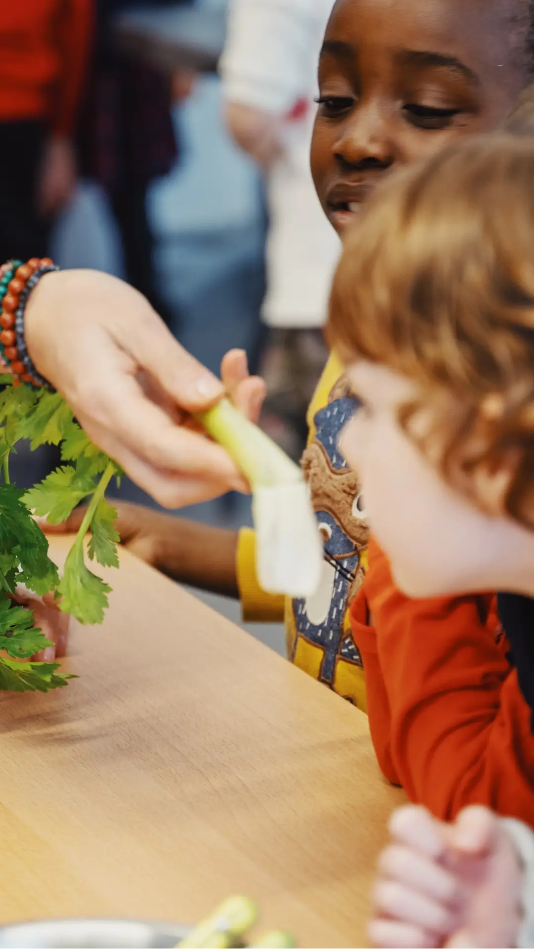 Ecole-comestible-Huan-Cupillard