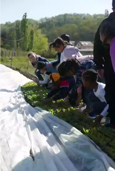 L_école-comestible-ferme-Gonesse