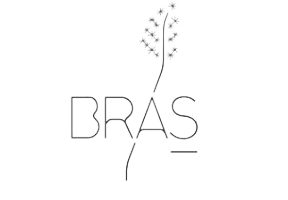 Sébastien Bras logo